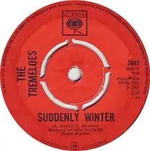 The Tremeloes - Be Mine (Mi Seguirai)