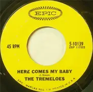 The Tremeloes - Here Comes My Baby