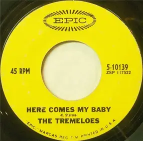 The Tremeloes - Here Comes My Baby