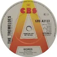 The Tremeloes - Words