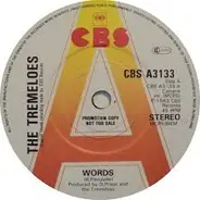 The Tremeloes - Words