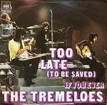 The Tremeloes - Too Late (To Be Saved)