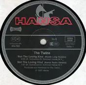 The TwiiNS - Not The Loving Kind (Remixed)