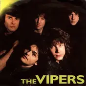 Vipers - You're Doin' It Well