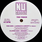 The Vision - Laidback & Groovy