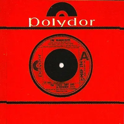 The Wanderers - The Times They Are A-Changin'