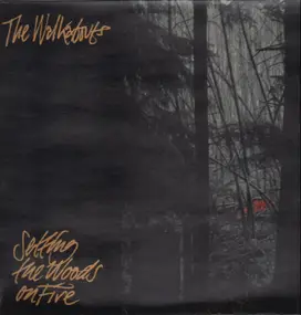 The Walkabouts - Setting the Woods on Fire