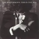 LP - The Waterboys - This Is The Sea