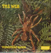 The Web - THERAPHOSA BLONDI