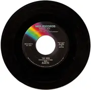 7'' - The Who - Squeeze Box / Success Story