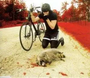 The White Stripes - The Denial Twist