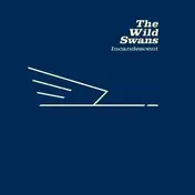 Wild Swans - Incandescent 2xLP (Remastered 180g Vinyl)