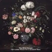 Wild Swans - THE COLDEST WINTER FOR A HUNDRED..
