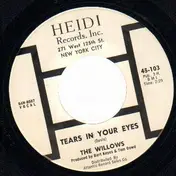 The Willows - Tears In Your Eyes / It's Such A Shame