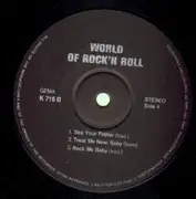 Double LP - The Woodville Co. , ICEM - World Of Rock'N Roll - Gatefold