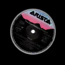 LP - The Alan Parsons Project - Gaudi