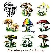 CD - The Allman Brothers Band - Mycology • An Anthology