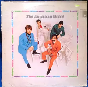 The American Breed - Pumpkin, Powder, Scarlet & Green