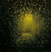 LP - The Antlers - Burst Apart
