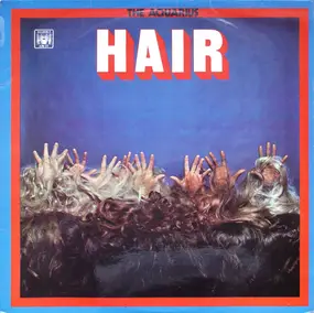 Aquarius - Hair