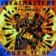 7'' - The Beatmasters With P.P. Arnold - Burn It Up