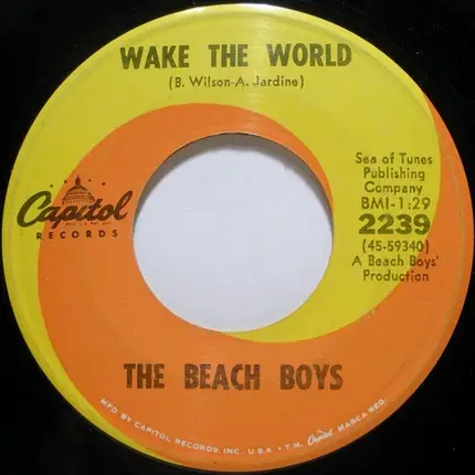 The Beach Boys - Do It Again