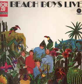 The Beach Boys - Live