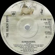 The Beach Boys - Sumahama