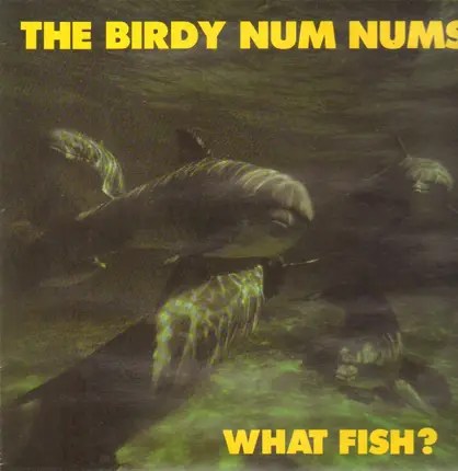 The Birdy Num Nums - What Fish?