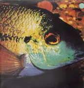 LP - The Bomb Party - Fish