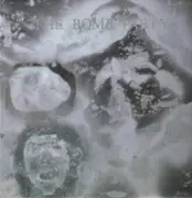 LP - The Bomb Party - Nativity #3