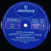 LP - The Boomtown Rats - In The Long Grass
