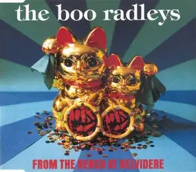 The Boo Radleys - From The Bench At Belvidere