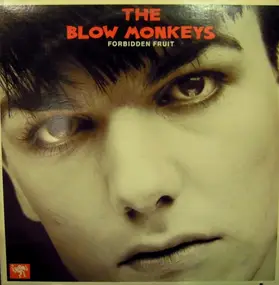 The Blow Monkeys - Forbidden Fruit