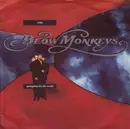 7'' - The Blow Monkeys - Springtime For The World