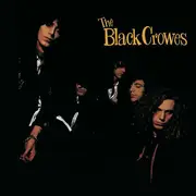 LP - The Black Crowes - Shake Your Money Maker