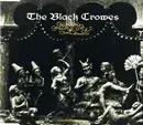 CD Single - The Black Crowes - Sting Me