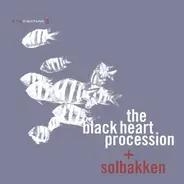 The + Solbakken Black Heart Procession - IN THE FISHTANK