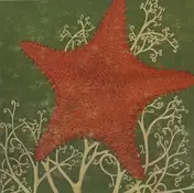 The Blithe Sons - Arm of the Starfish