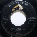7'' - The Browns - Lonely Little Robin