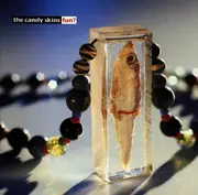 CD - the Candy Skins - Fun?