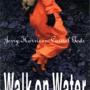 CD - The Casual Gods - Walk On Water