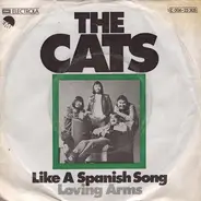 The Cats - Like A Spanish Song