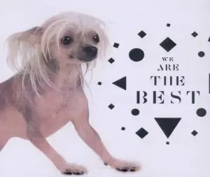 The Chap - We Are The Best