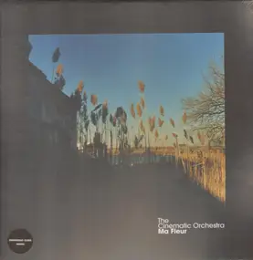 The Cinematic Orchestra - Ma Fleur