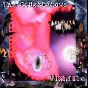 Dancing Ferrets Discs Inc.