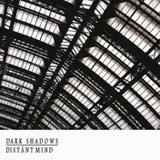 The Dark Shadows - Distant Mind