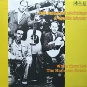 LP - The Delmore Brothers & Wayne Raney - When They Let The Hammer Down