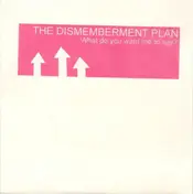 The Dismemberment Plan - What Do You Want Me To Say?