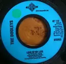7'' - The Dooleys - Love Of My Life - Large Centre Hole